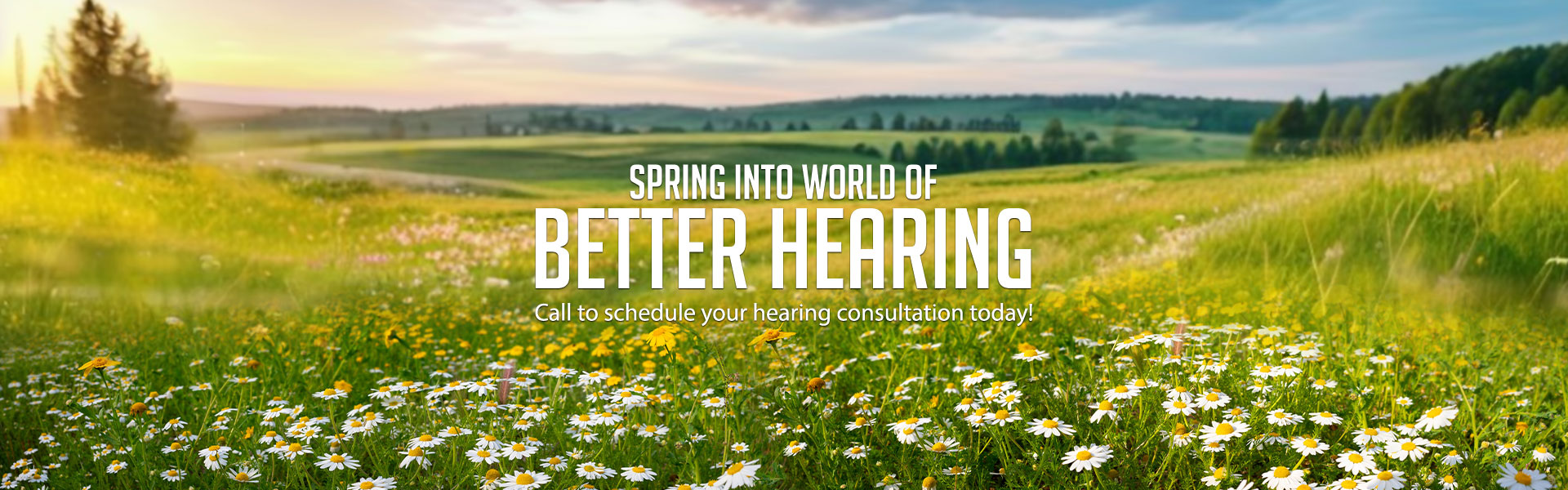 Spring Banner | Nardelli Audiology