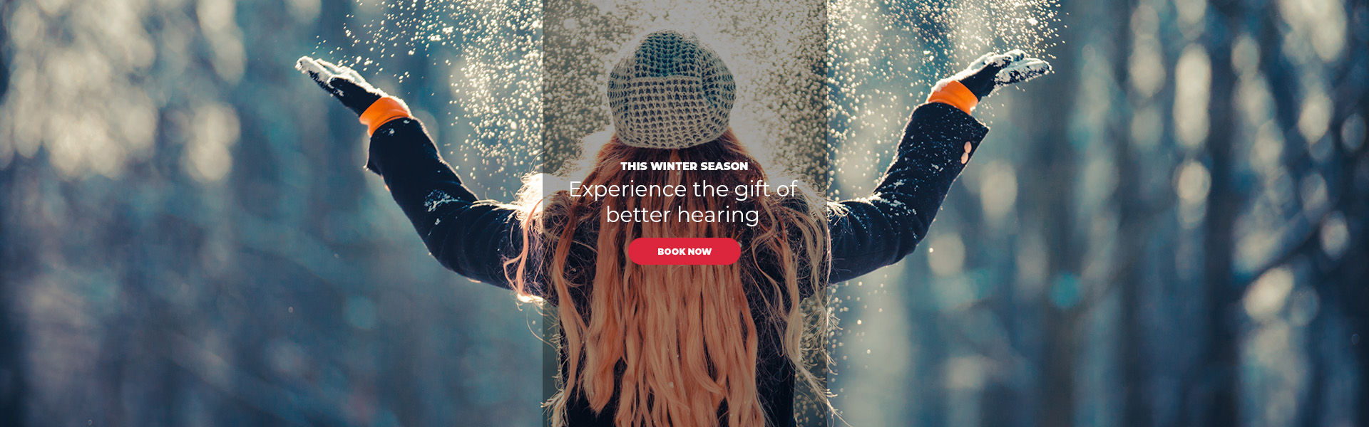 Winter Banner | Nardelli Audiology